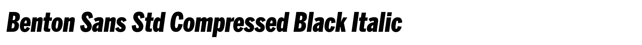 Benton Sans Std Compressed Black Italic image